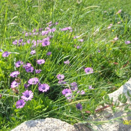 Agriturismo Spridda Panzió Arzachena Kültér fotó