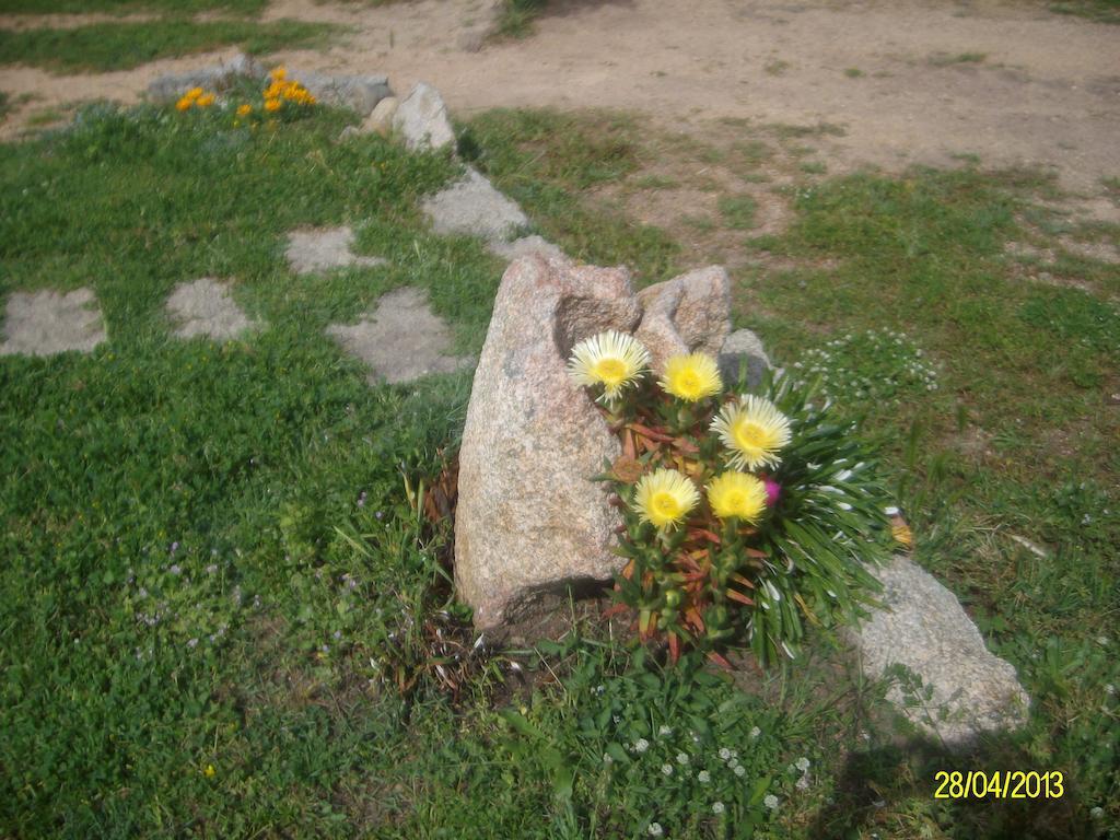 Agriturismo Spridda Panzió Arzachena Kültér fotó