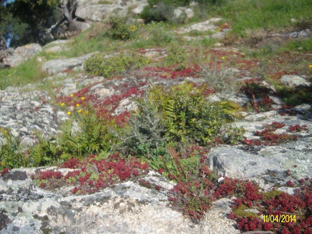 Agriturismo Spridda Panzió Arzachena Kültér fotó