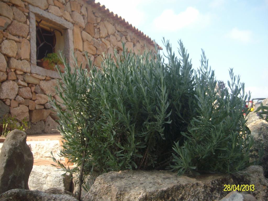 Agriturismo Spridda Panzió Arzachena Kültér fotó